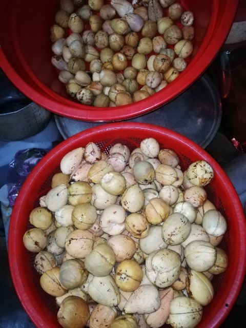 100g BỘT HẠT BƠ NGUYÊN CHẤT RỬA MẶT