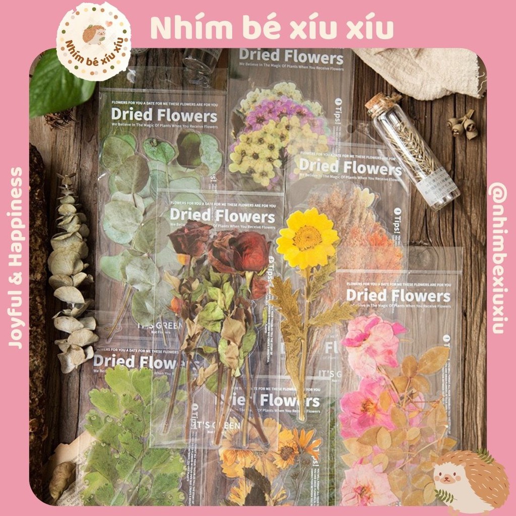 Sticker giả hoa khô vintage size lớn hình dán dried flower VT166