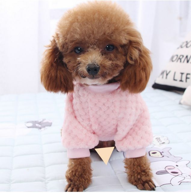 Quần áo thú cưng [Dog Bayby]-Mẫu áo len giữ ấm 2019
