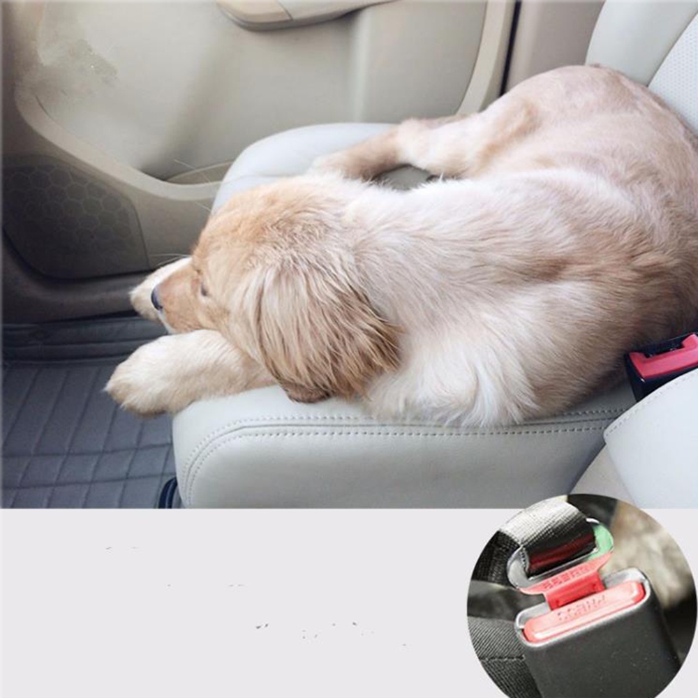 Dây Thắt Lưng An Toàn Cho Thú Cưng Trên Xe Hơi #A037