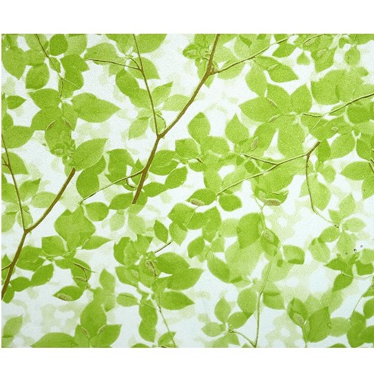 Cuộn 5m dánh kính rừng xanh khổ rộng 60cm ( đọc kỹ thông tin sản phẩm )