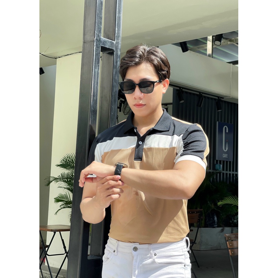 Áo polo nam cổ bẻ vải cá sấu Cotton xuất xịn,chuẩn form, sang trọng - thanh lịch TB013