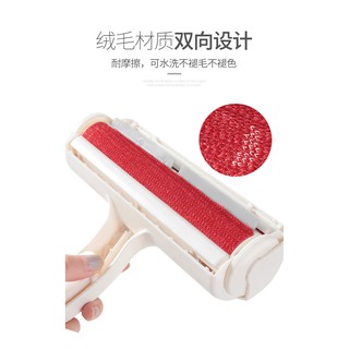 cây lấy lông mèo-cây lăn lông mèo