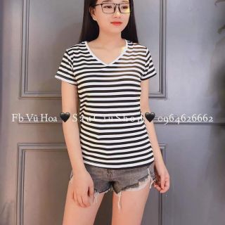 Áo phông nữ HM cổ tim
