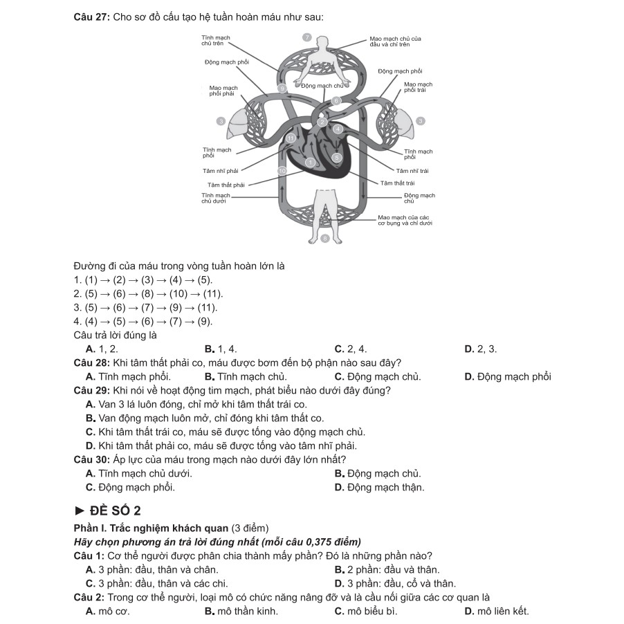 Sách - Bí quyết chinh phục điểm cao Sinh học 8 - NXB Đại học Quốc gia Hà Nội