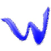 WIDEN STORE