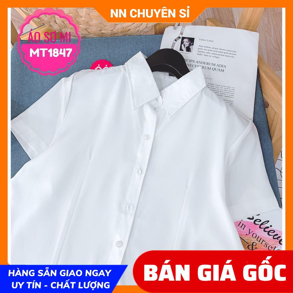 ÁO SƠ MI TAY NGẮN DÁNG CÔNG SỞ MT1847 ⚡ẢNH THẬT⚡HÀNG ĐẸP⚡ SƠ MI NỮ