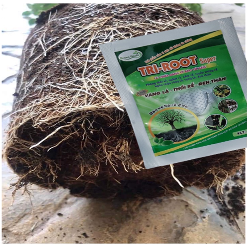 Chế phẩm vi sinh phòng trừ nấm TRI-ROOT