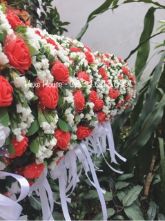 Combo 25 vòng hoa salem đỏ