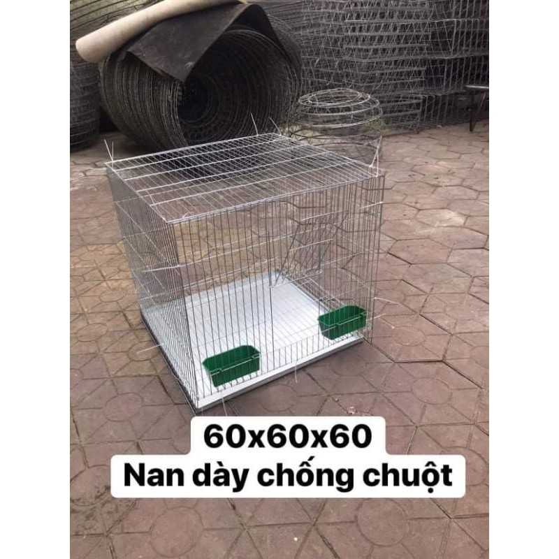 chuồng (lồng) ghép nuôi nhốt gà