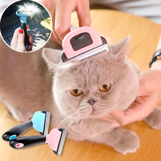 Lược chải lông cho chó mèo, lược tẩy lông cho chó mèo, lược chải lông, cạo lông, làm sạch lông và đồ dùng tạo tác cho th
