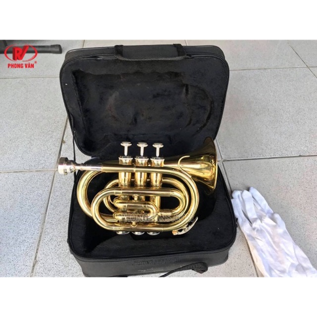 Kèn trumpet lùn Yamaha vàng