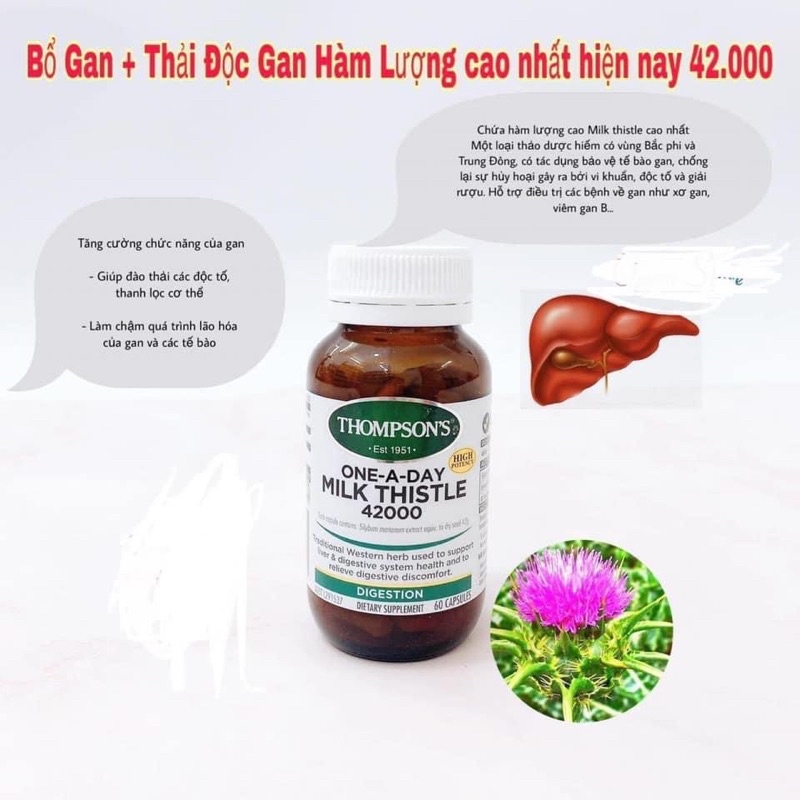 Viên bổ gan Milk Thistle 42000 Thompson's 60 viên