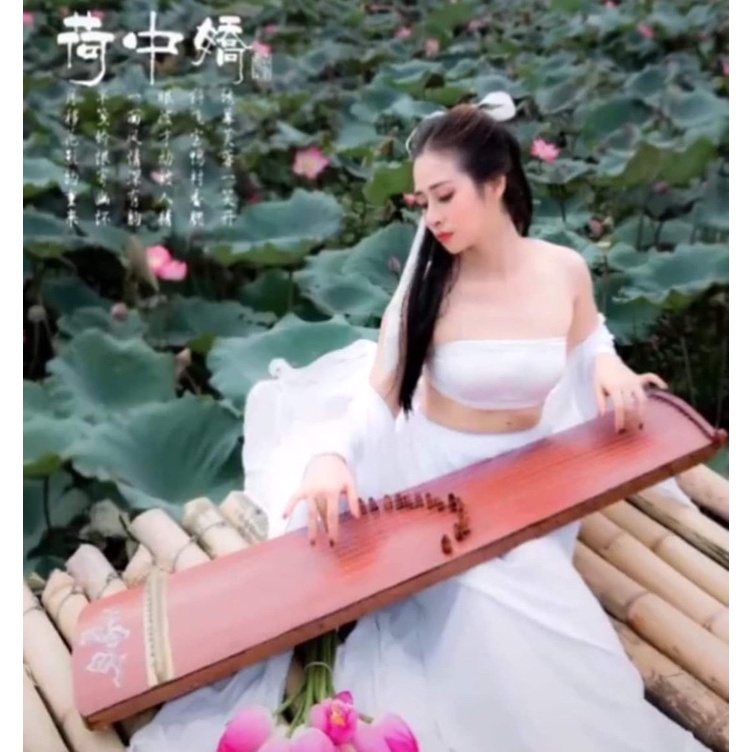 Đàn tranh- đàn tì bà  phụ kiện chụp ảnh