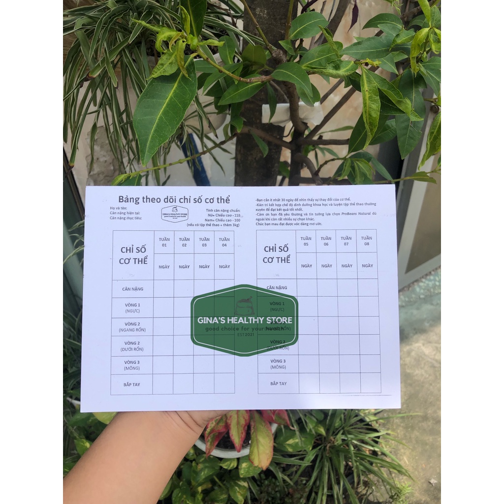 Bảng Theo Dõi Chỉ Số Cơ Thể Độc Quyền Gina's Healthy