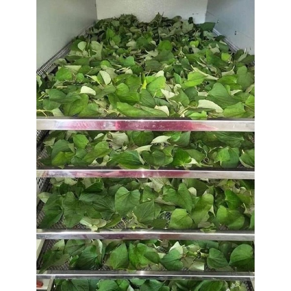 BỘT DIẾP CÁ SẤY LẠNH NGUYÊN CHẤT HỘP 500gram