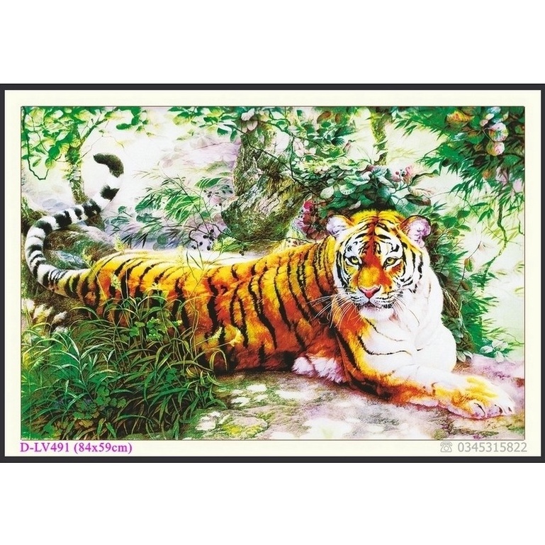 Tranh Đính Đá MÃNH HỔ (ĐÁ ABC CAO CẤP). Kích Thước: 84cm x 59cm