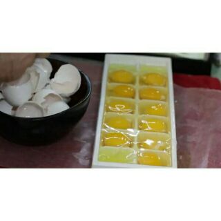 Khay làm đá loại lớn Y hình