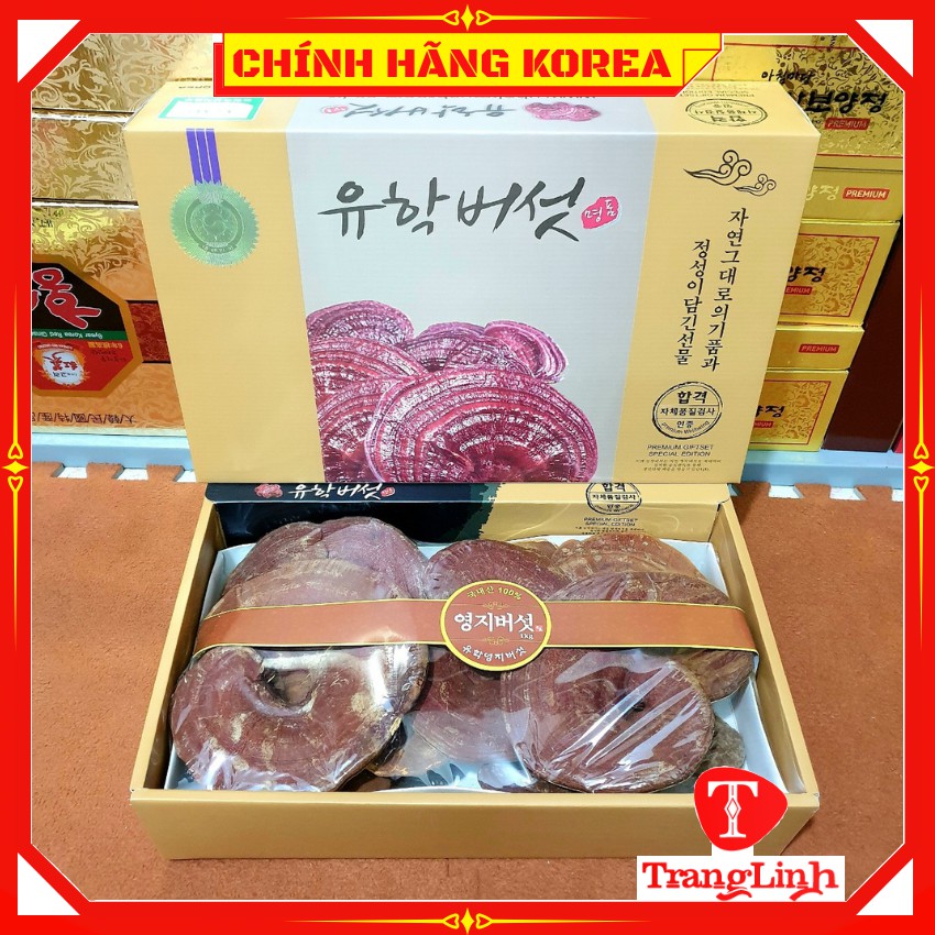 Nấm linh chi đỏ hàn quốc thượng hạng - Nấm hộp quà 1kg giúp thải độc gan, thanh lọc cơ thể - tranglinhkorea