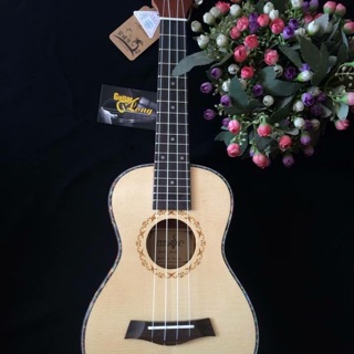 Đàn ukulele concert MT800 CB2