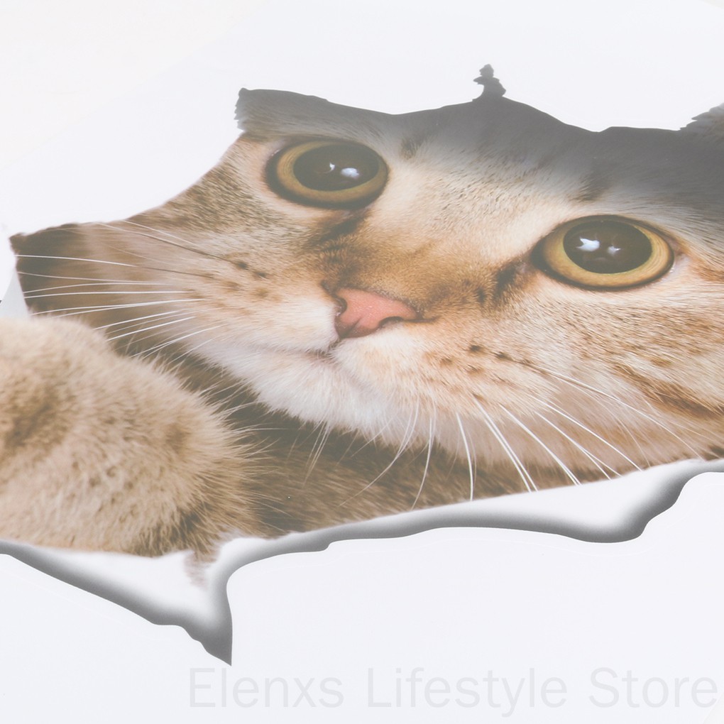 Nhãn dán hình mèo 3D trang trí dễ thương cho toilet 21x29cm