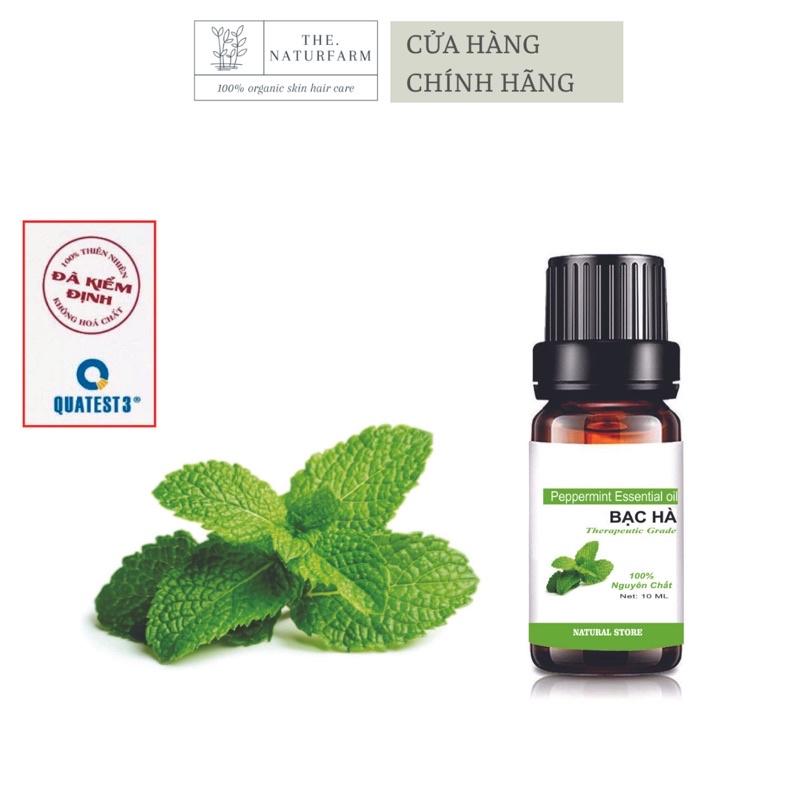 Tinh Dầu Bạc Hà 10ML 100% Nguyên Chất Organic - Chai nhỏ giọt