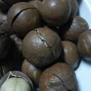 kg Hạt macca úc
