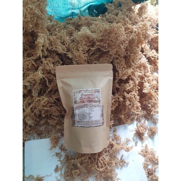 Rong sụn khô 100gr - seamoss/ dried seamoss