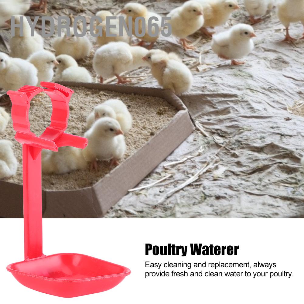 Hydrogen065 20Pcs Chicken Nipple Drinker Cups Waterer Hanging Cup Drinking Water Tool Farm Supplies