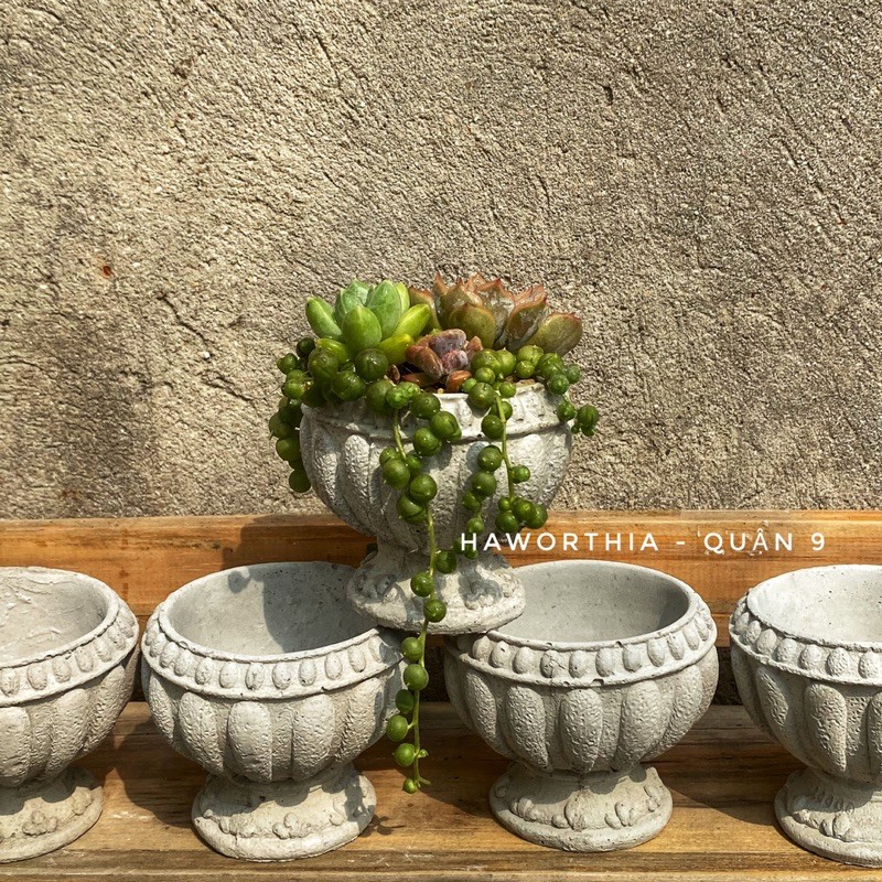 FREESHIP Chậu xi măng hình ly vintage cổ điển SP035