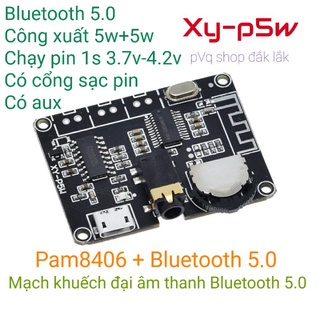 Mạch khuếch đại âm thanh Bluetooth 5.0 xy-p5w
