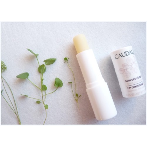 Son dưỡng môi Caudalie Lip Conditioner Nourishes &amp; Anti- Oxydant
