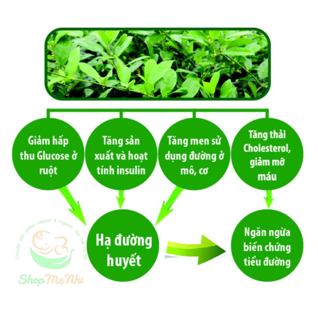 Viên uống dây thìa canh Gymnema Sylvestre Leaf Swanson giúp ổn định đường huyết hàng Mỹ 100 viên.