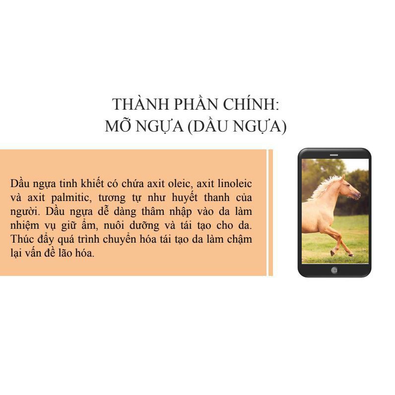 Kem Dưỡng Thể Ban Đêm Dầu Ngựa 200g Horse Oil Body Cream Laura Sunshine Nhật Kim Anh | BigBuy360 - bigbuy360.vn