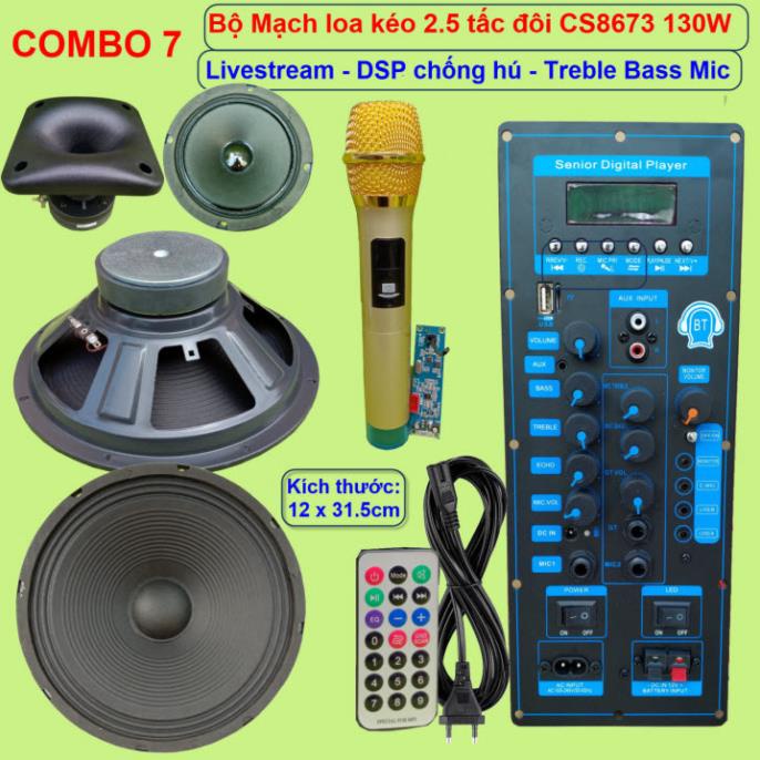 Mạch loa kéo 2 tấc rưỡi đôi CS8673E 130W LIVESTREAM - DSP lập trình chống hú, chỉnh Bass Treble Micro