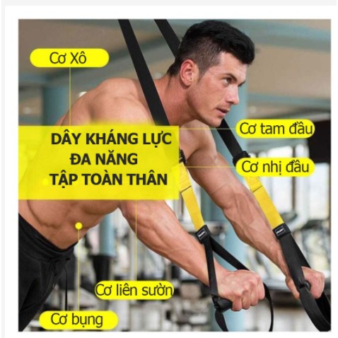 Dây kháng lực tập gym TRX P3, dây treo kháng lực đa năng tập Gym chính hãng TOPBODY-DTREO01