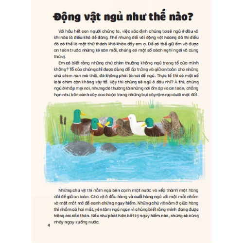 Sách Thiếu Nhi - Những Bí Ẩn Của Màn Đêm - Những Loài Vật Đáng Kinh Ngạc (Cho Trẻ Từ 6-12 Tuổi)