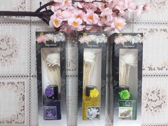 TINH DẦU THƠM PHÒNG THÁI LAN NHẬP KHẨU CHÍNH HÃNG