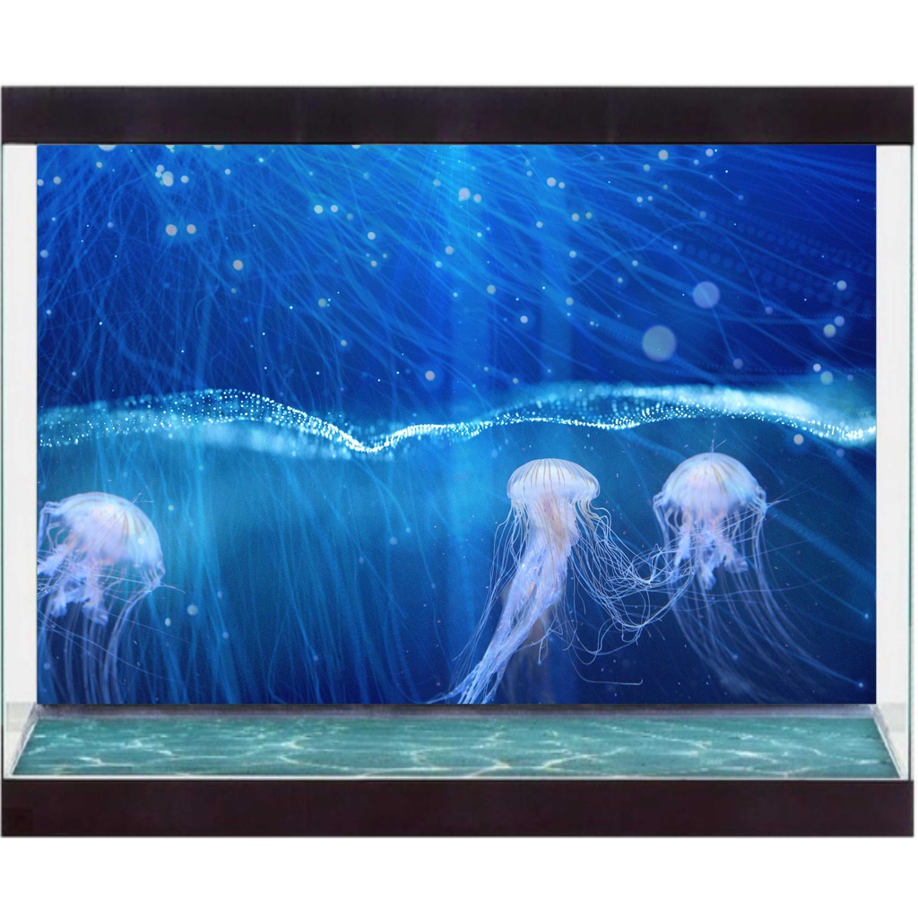 Decal Có Sẵn Keo Trang Trí Hồ Cá  - Kích Thước Lớn - Decal Sài Gòn