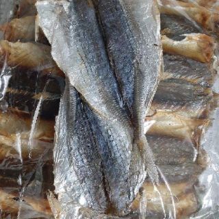 1kg Cá chỉ siêu to, siêu dày