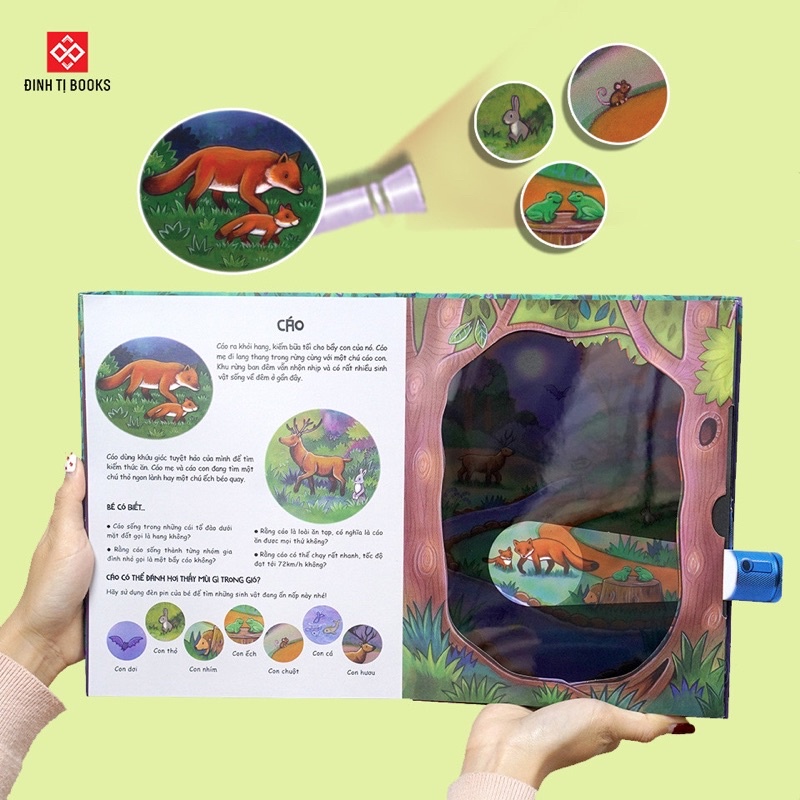 Sách - Đèn pin khám phá - Moonlight Ocean - Đại dương dưới ánh trăng