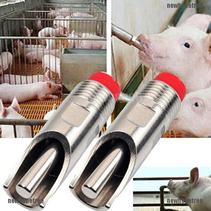 Vòi Uống Nước Tự Động Bằng Thép Không Gỉ