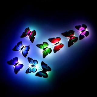 Combo 5 đèn led bướm 3d phát sáng