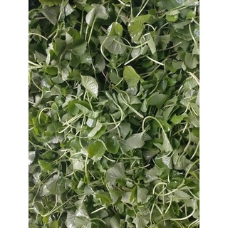 Bột Rau Má nguyên chất 200g