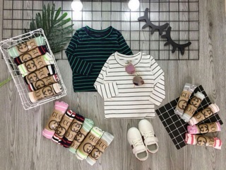 Combo sỉ áo thun kẻ sọc