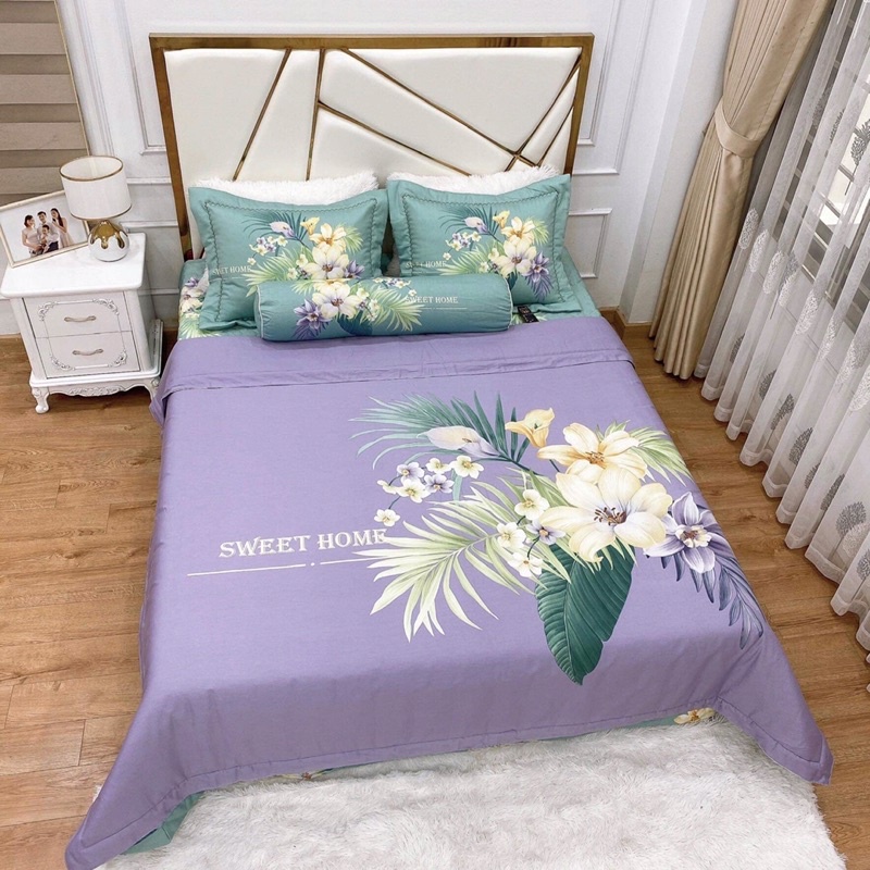 Bộ chăn ga gối cotton living trần bông 5 món