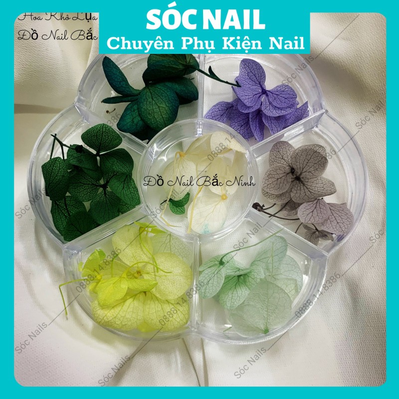 Hoa Khô Lụa Ẩn Móng Gel Nail Giá Rẻ,Hoa Trang Trí Móng Hàn Quốc 7 Màu