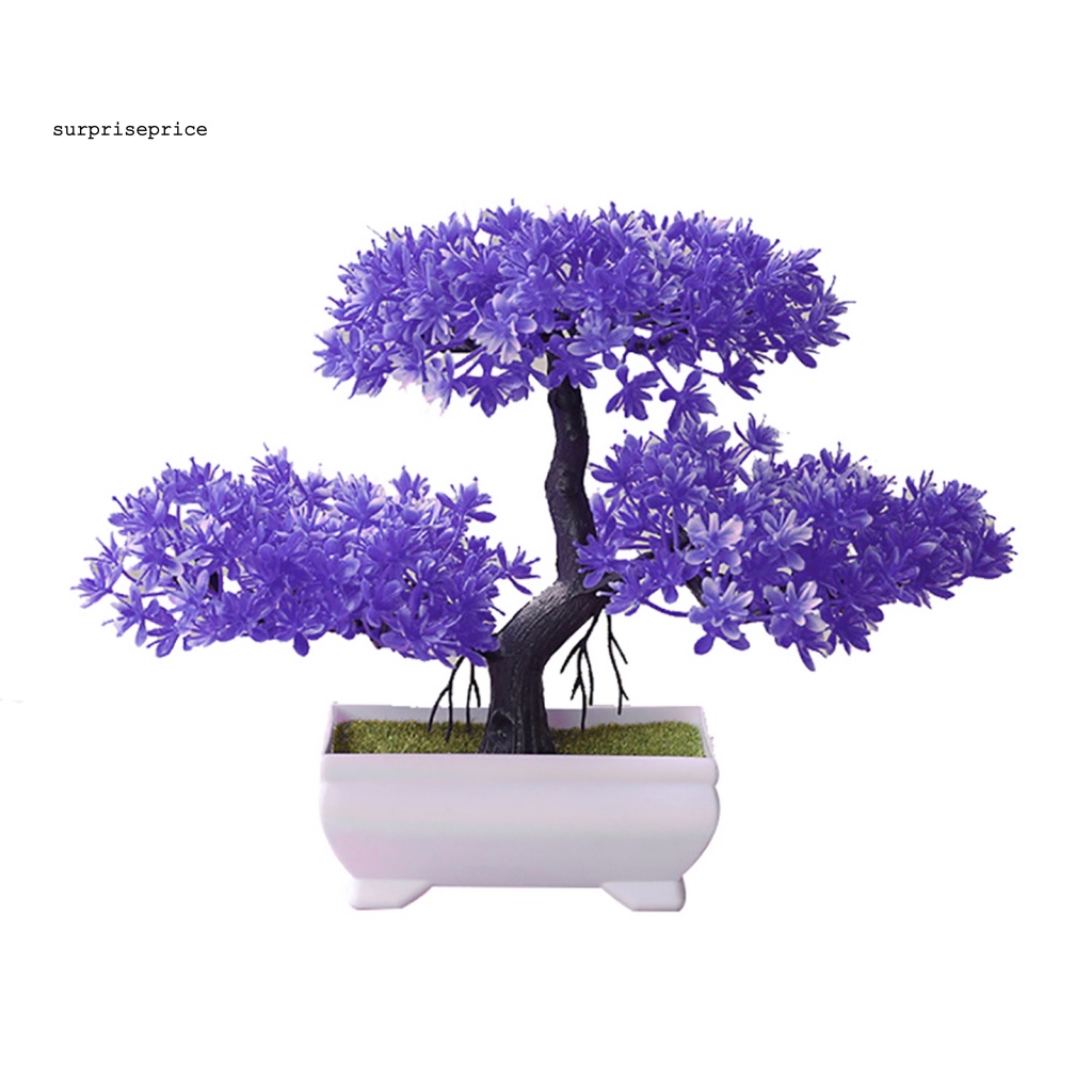 Chậu Cây Bonsai Giả Trang Trí
