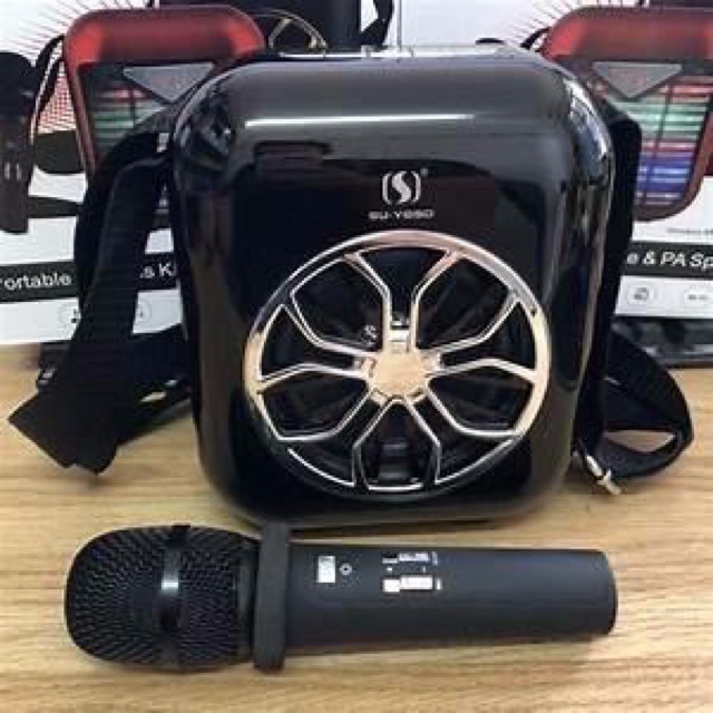 Loa YsA20 tặng mic không dây