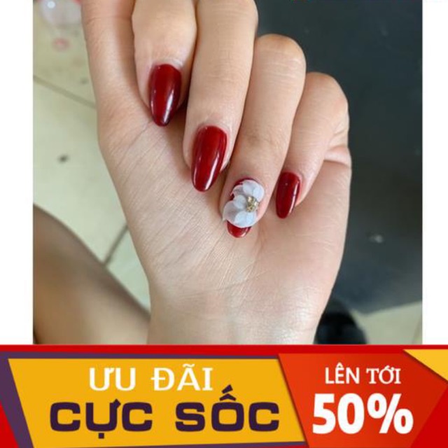 Hoa Cánh Tiên